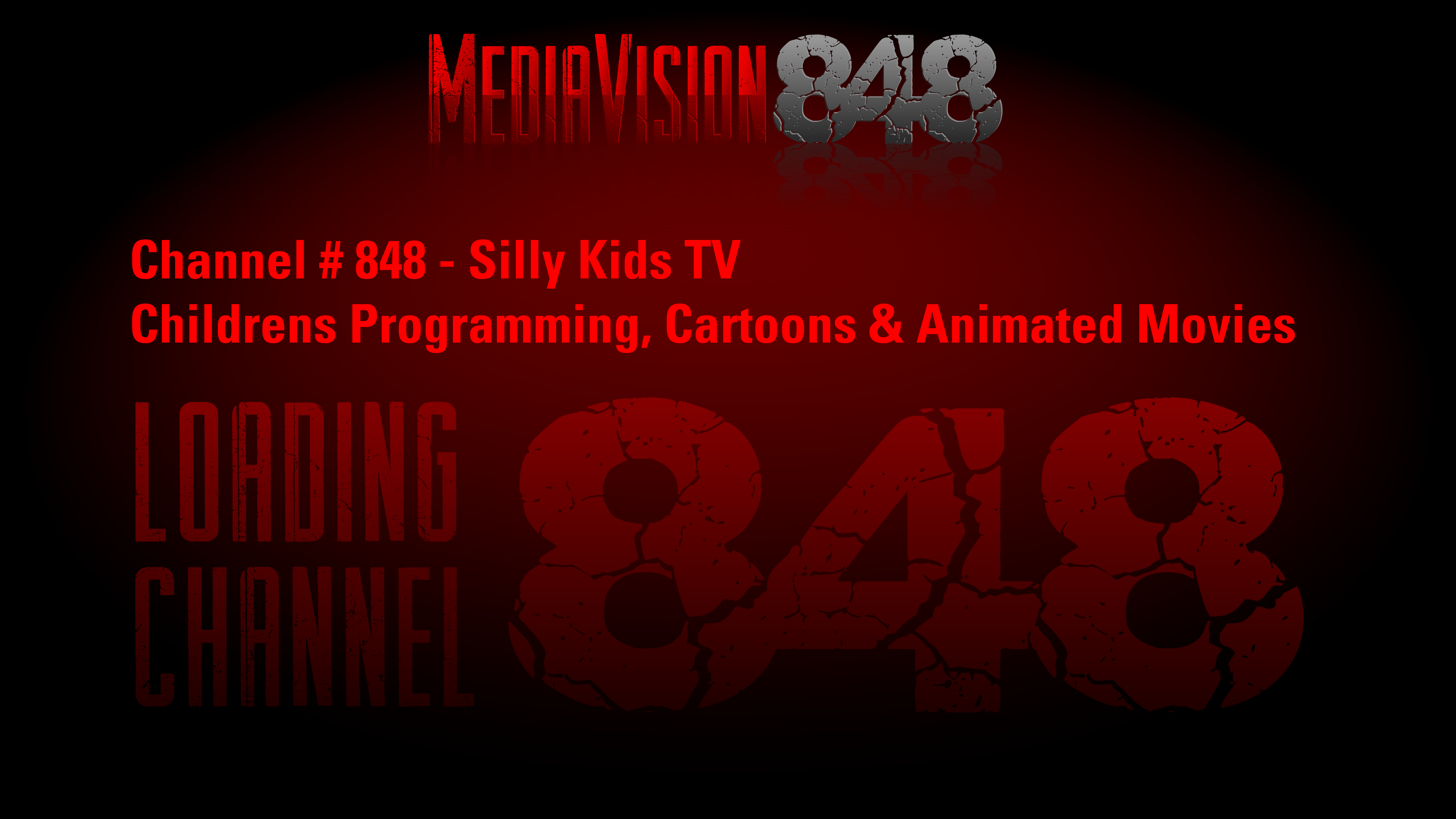 Media_vision_player_3